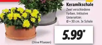 Lidl Keramikschale Angebot