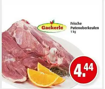 Markant Gackerle Frische Putenoberkeulen Angebot