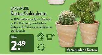 Aldi Nord Gardenline Kaktus Oder Sukkulente Angebot