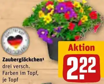 REWE Zauberglöckchen Angebot