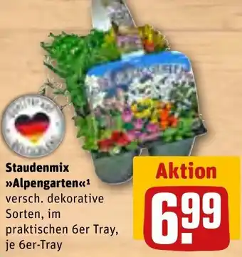 REWE Alpengarten Staudenmix Angebot