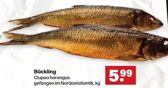 Handelshof Bückling Angebot