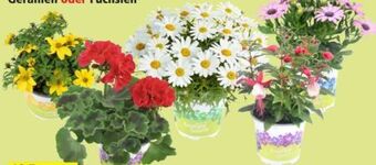Thomas Philipps Bidens Angebot