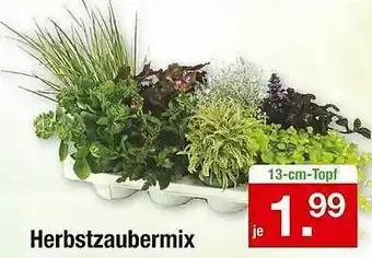 Zimmermann Herbstzaubermix Angebot