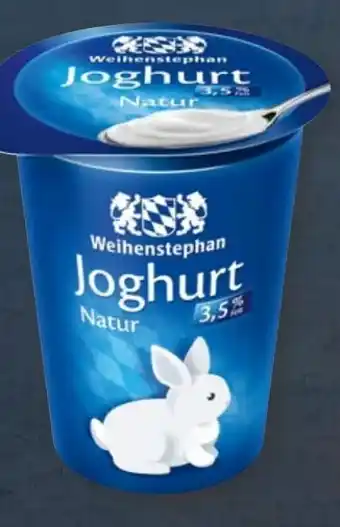 Aldi Nord Naturjoghurt Angebot