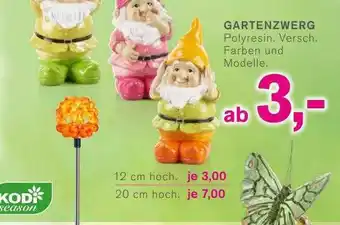 KODi Gartenzwerg Angebot