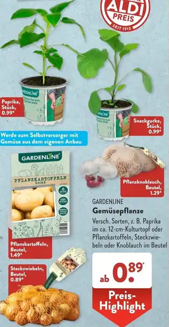 Aldi Süd Gardenline Gemüsepflanze Angebot