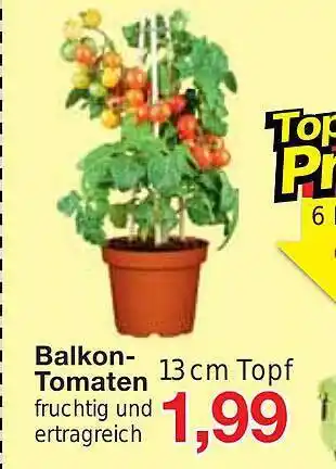 Jawoll Balkon-tomaten Angebot