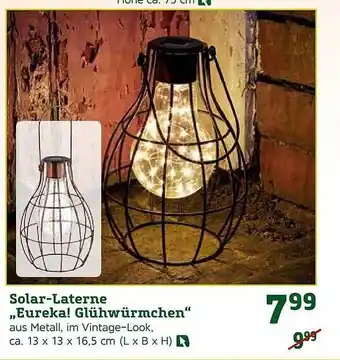 Pflanzen Kölle Solar-laterne „eureka! glühwürmchen“ Angebot