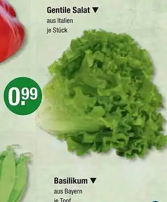 V Markt Gentile salat, basilikum Angebot