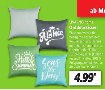 Lidl Livarno home outdoorkissen Angebot