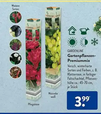 Aldi Süd Gardenline gartenpflanzen-premiummix Angebot