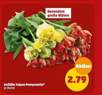 PENNY Gefüllte tulpen pomponette Angebot