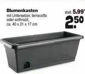 Repo Markt Blumenkasten Angebot