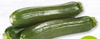 Nah & Frisch Zucchini Angebot