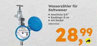 Globus Baumarkt Wasserzähler für kaltwasser Angebot