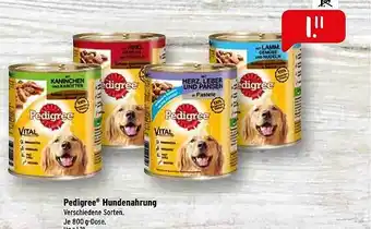 Raiffeisen Markt Pedigree Hundenahrung Angebot