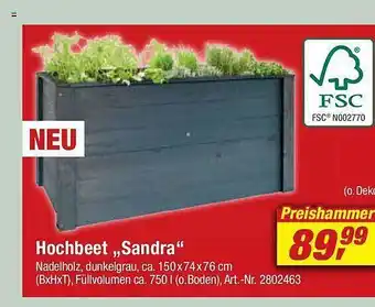 toom Baumarkt Hochbeet sandra Angebot