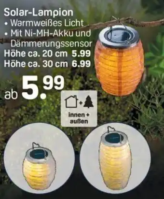 Rossmann Solar Lampion Angebot