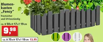Fency Blumenkasten Angebot bei Thomas Philipps