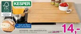 KODi Kesper Schneide und Abdeckplatte Angebot