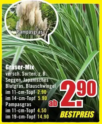 B1 Discount Baumarkt Gräser Mix Angebot