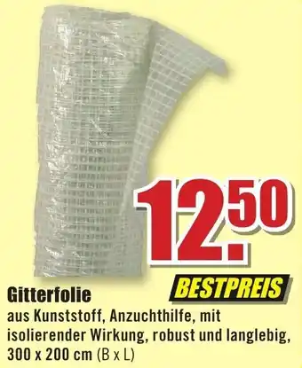 B1 Discount Baumarkt Gitterfolie Angebot