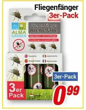 CENTERSHOP Fliegenfänger 3er pack Angebot