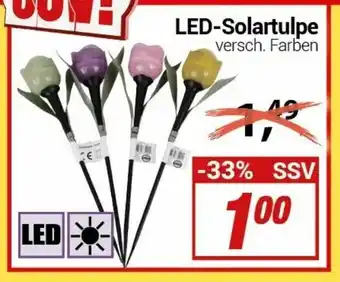 CENTERSHOP LED Solartulpe Angebot