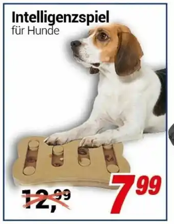 CENTERSHOP Intelligenzspiel Angebot