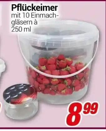 CENTERSHOP Pflückeimer Angebot