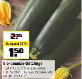 OBI Bio Gemüse Setzlinge Angebot