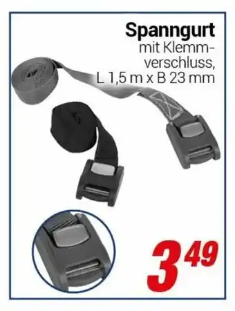 CENTERSHOP Spanngurt Angebot