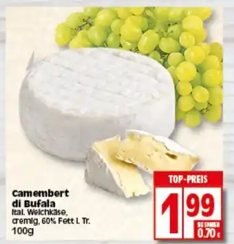 Elli Markt Camembert di Bufala 100g Angebot