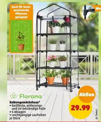 PENNY Florana balkongewächshaus Angebot