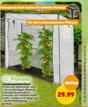 PENNY Florana tomatengewächshaus Angebot