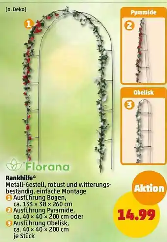 PENNY Florana rankhilfe Angebot