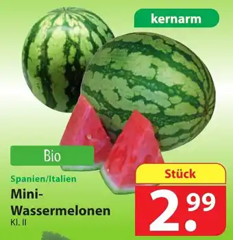 Famila Nord Ost Mini Wassermelonen Angebot