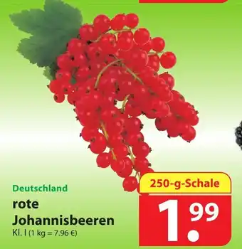 Famila Nord Ost Deutschland Rote Johannisbeeren 250g Angebot