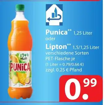 Famila Nord Ost Punica oder Lipton 1,5/1,25L Angebot