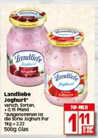 Elli Markt Landliebe Joghurt 500g Angebot