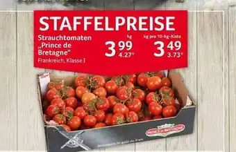 Selgros Strauchtomaten „prince de bretagne“ Angebot