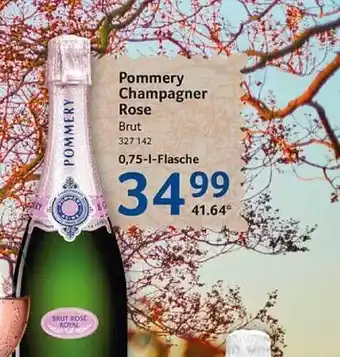 Selgros Pommery champagner rose Angebot