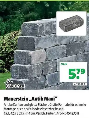 Hagebau Mr. gardener mauerstein „antik maxi“ Angebot