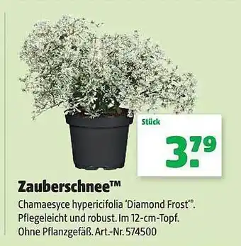 Hagebau Zauberschnee Angebot