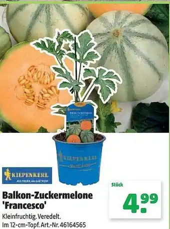 Hagebau Kiepenkerl balkon-zuckermelone „francesco“ Angebot