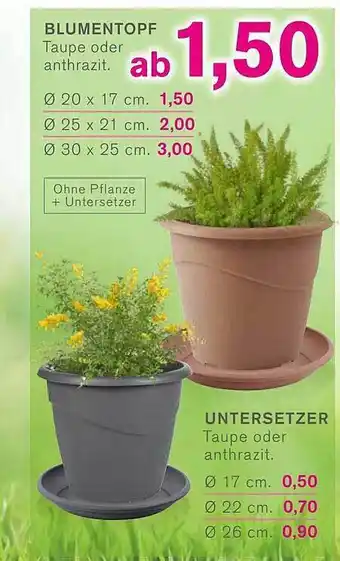 KODi Blumentopf oder untersetzer Angebot