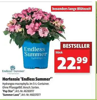 Hagebau Hortensie „endless summer“ Angebot
