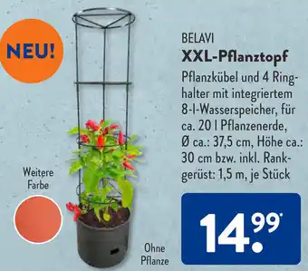 Aldi Süd Belavi XXL Pflanztopf Angebot