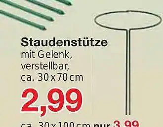 Jawoll Staudenstütze Angebot